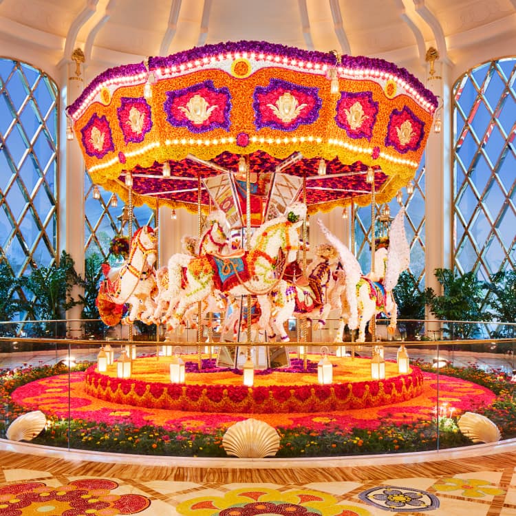 花の造形丨ウィン・パレス