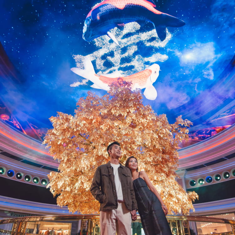 Wynn