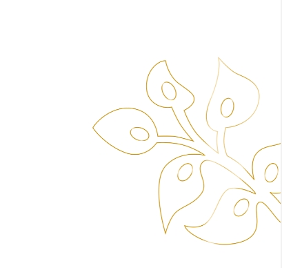 A Journey from vine to wine: Grape Cultivation