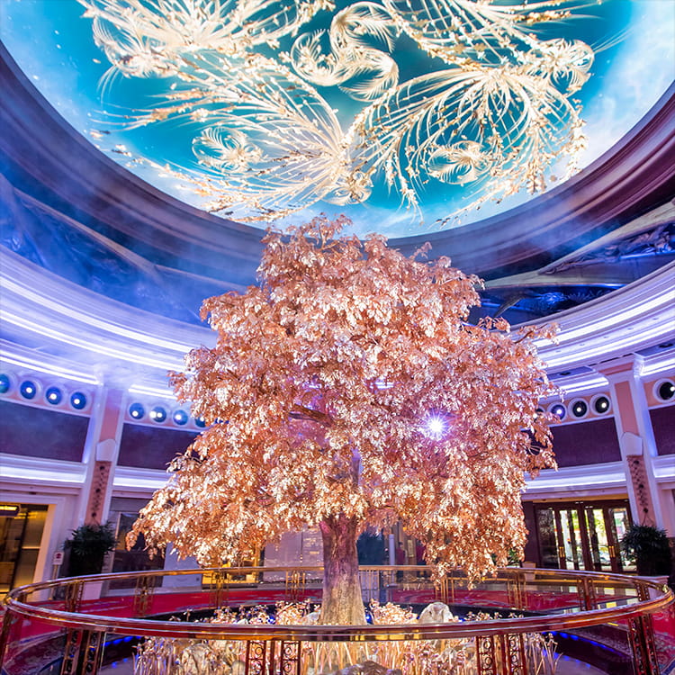 Shining Days and Nights Check In at the Glamorous Tree of Prosperity
