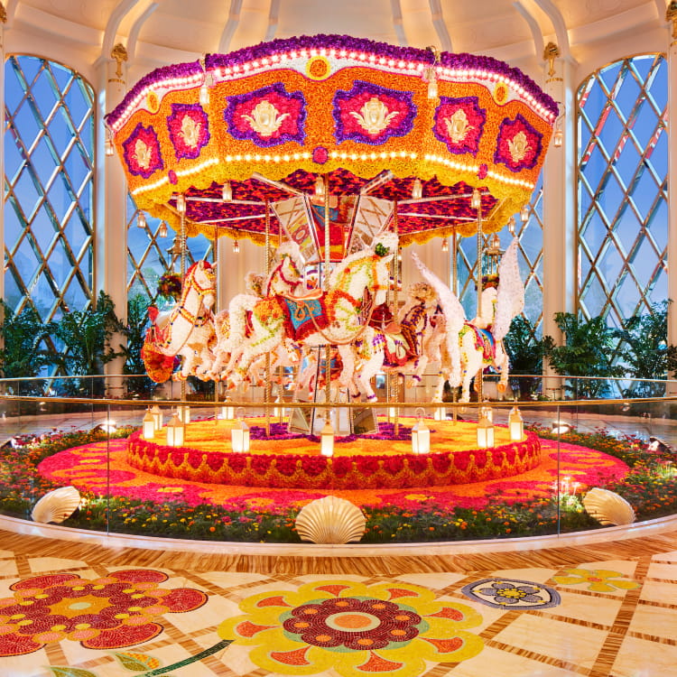 Portrait & Styling Journey: Hair, Makeup & Photoshoot with Wynn